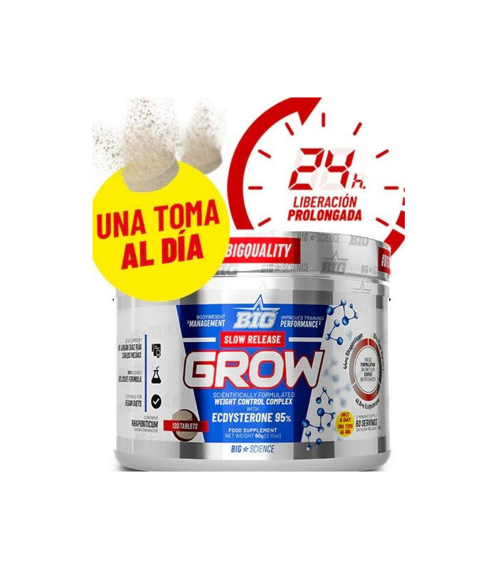 SLOW RELEASE GROW 120 COMP BIG