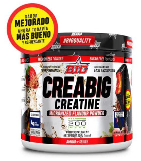 CREABIG CREATINA