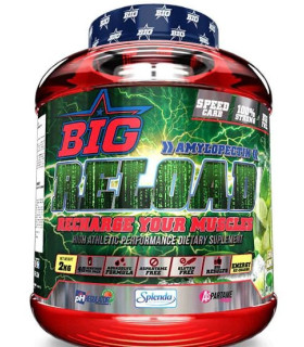 BIG RELOAD AMILOPECTINA
