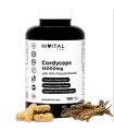 CORDYSEPS14000 MG HIVITAL
