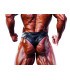 IFBB PRO CLASSIC PHYSIQUE SHORT