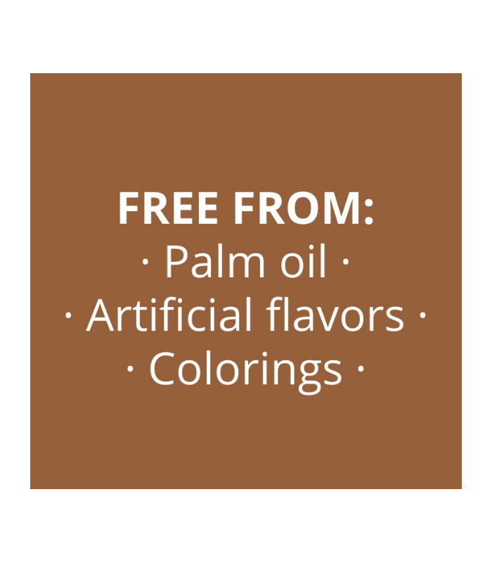 SIROPE DE CHOCOLATE CON LECHE Y AVELLANAS PROZIS 250 g