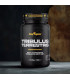 TRIBULUS TERRESTRIS 90 cap. BIG