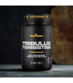 TRIBULUS TERRESTRIS 90 cap. BIG