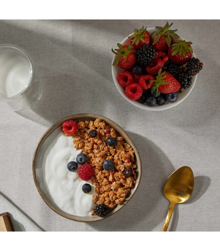 PROTEIN GRANOLA PROZIS 275 g