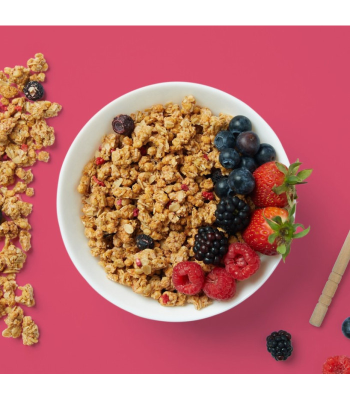 PROTEIN GRANOLA PROZIS 275 g